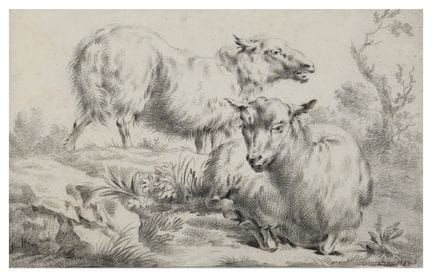 SEGÚN NICOLAES BERCHEM (1620-1683)
Carnero y oveja