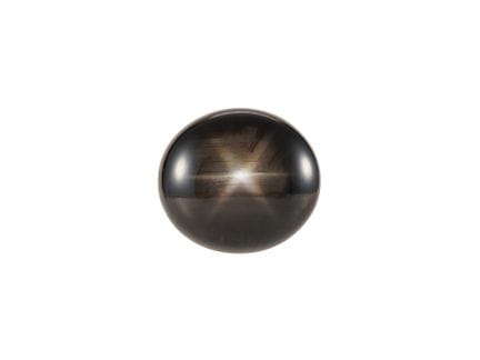 Saphir noir étoilé de 12,53 carats

Saphir noir ét