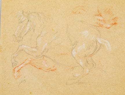 SCUOLA FRANCESE del XIX secolo,
Studio di un caval