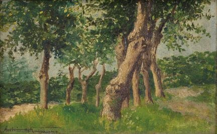 ANTONIETTA FRAGIACOMO Woods   Öl auf Karton, 10 x 