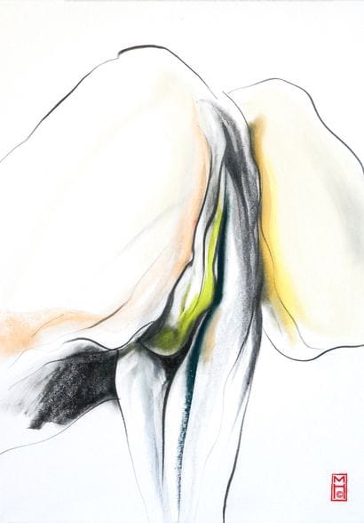 Mari Hoffman
Lactarius necator
Colored pencil and 