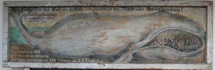 大型油画，可能在 1900/20 年左右，描绘鲸鱼，标有 "Das größte Tier der 