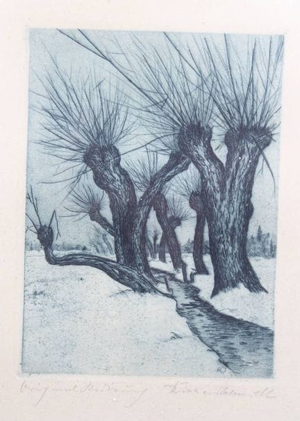 无法辨认的签名蚀刻版画，垂柳，旧德国/玻璃，右下角 31.5 × 25 厘米