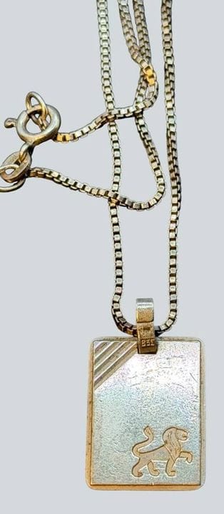 Collana in argento 925 con ciondolo del segno zodi