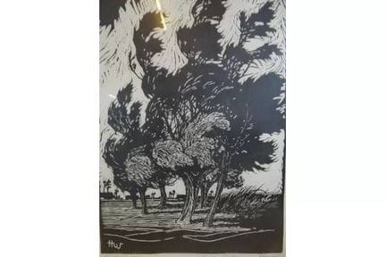 H. Wolff，《树》，原版木刻，1961年，装裱/玻璃，画心尺寸46x34厘米