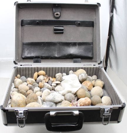 Une valise remplie de fossiles, probablement princ