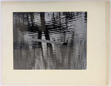 Vintage Black & White Abstract Water Surface Graph