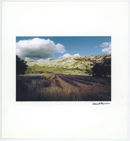 Signierte Vintage-Kunstfotografie von Harriet Tann