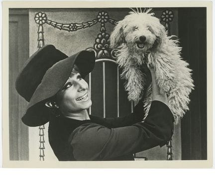 Vintage-Werbefoto von Barbra Streisand aus dem Büh
