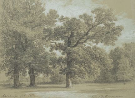 F. BELLERMANN (*1814), Alberi nel parco di Schönha