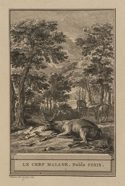 R. VINKELES (1741-1816), The Sick Stag,  1778, Etc