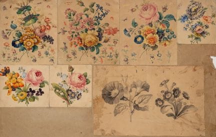 Anonimo (XIX secolo), Motivi decorativi con fiori 