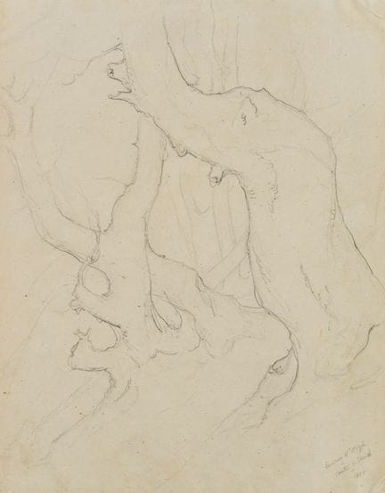 E. BRETENIÈRES (*1804), Sculture arboree nei press