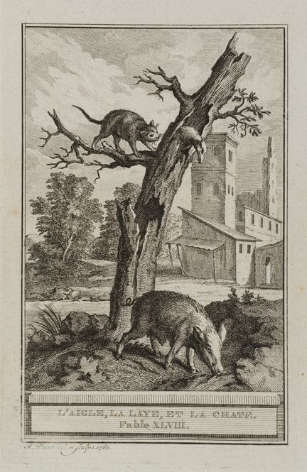 J. PUNT (1711-1779), A cat and a pig in a tree,  1