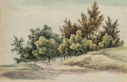 Anonimo (XIX secolo), Un gruppo di alberi nei prat