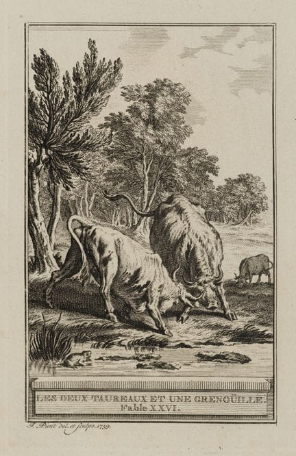J. PUNT (1711-1779), Dos toros y una rana,  1759, 