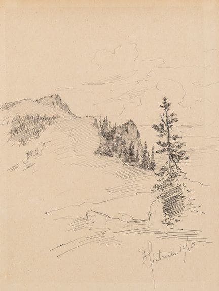 Sconosciuto (XIX), Paesaggio montano con abeti, 18