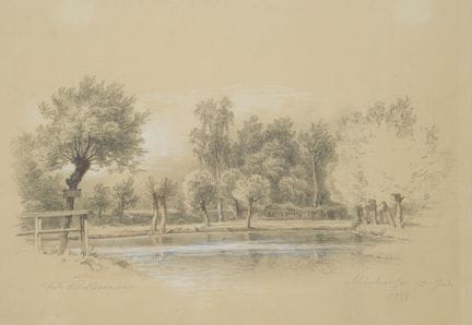 F. BELLERMANN (*1814), Salici impollinati nel parc