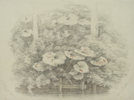 F. BELLERMANN (*1814), Riva del fiume a Pankow,  1