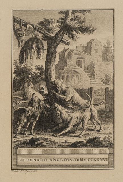 R. VINKELES (1741-1816), The English chestnut,  17