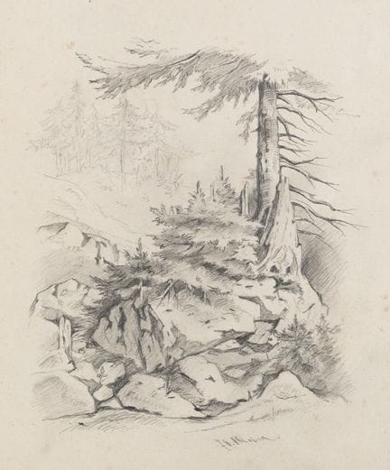 H. FRITZ (XIX), Abeti su un pendio roccioso, 1878,