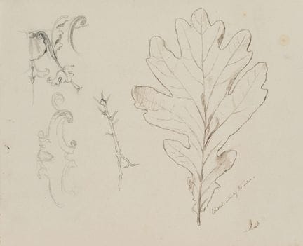 E. RONDAHL (1858-1914), Estudio de una hoja de rob