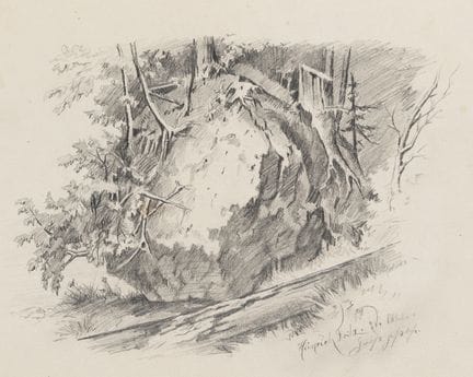 H. FRITZ (XIX secolo), Masso nella foresta,  1878,
