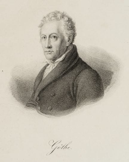 Sconosciuto (XIX), Ritratto di J. W. von Goethe (1