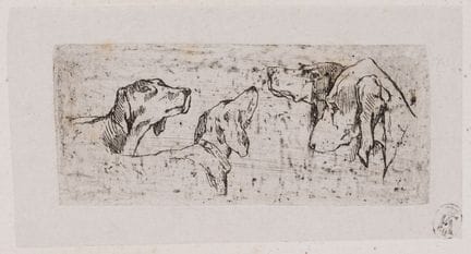 E. DESSAIN (1808-1882), Studio di animali con cani