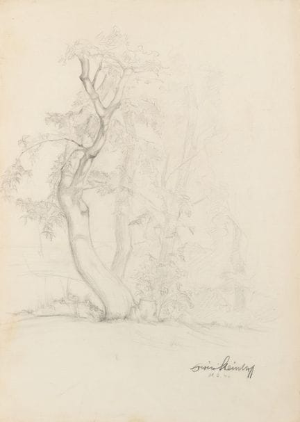 E. STEINHOFF (XX), Paesaggio con alberi, 1946, Mat