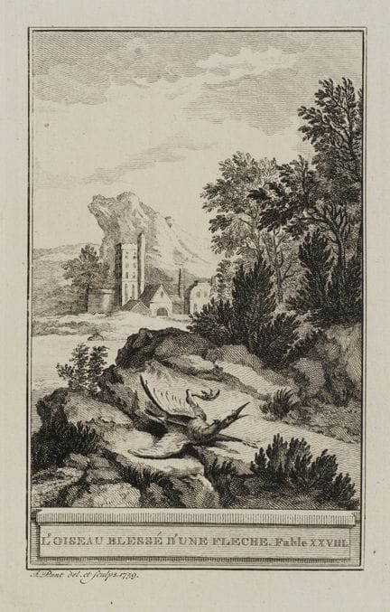 J. PUNT (1711-1779), «Un pájaro herido en un paisa