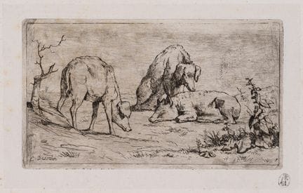 E. DESSAIN (1808-1882), Foglio di studio raffigura
