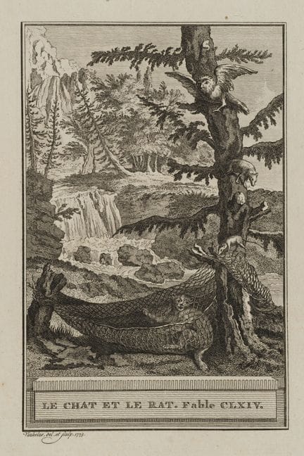 R. VINKELES (1741-1816), The Cat and the Rat,  177