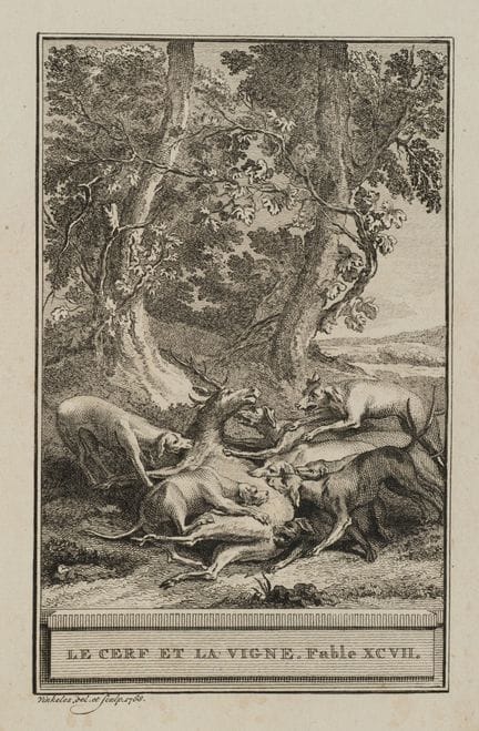 R. VINKELES (1741-1816), The Stag and the Vine,  1