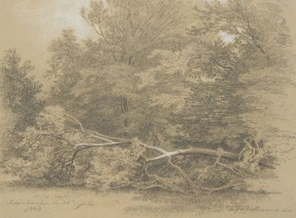F. BELLERMANN (*1814), Nel parco di Schönhausen,  