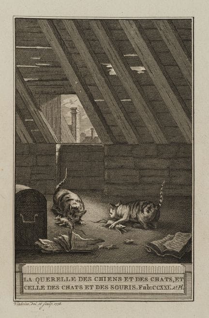R. VINKELES (1741-1816), «El gato y el ratón en el