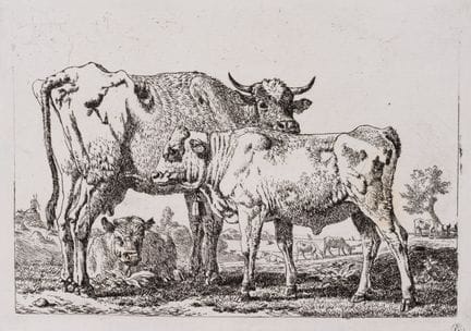 J. DEMARNE (1752-1829), Due mucche in un paesaggio