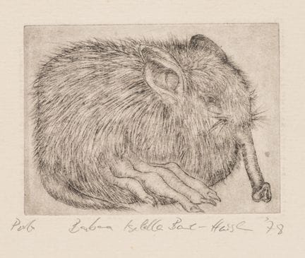 B. BAUER-HEUSLER (*1948), Trunk-jumper,  1978, inc