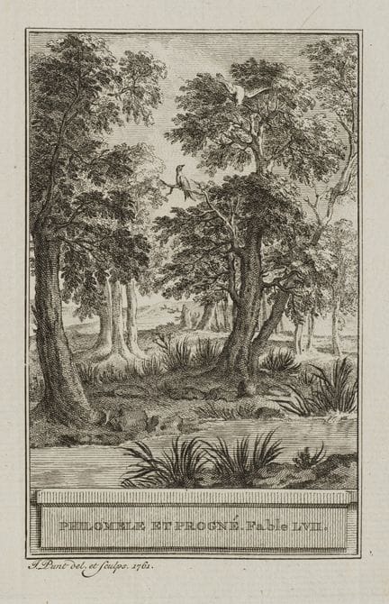 J. PUNT (1711-1779), Birds in the forest,  1761, E