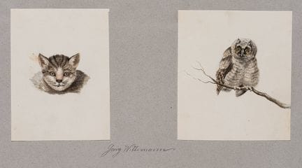 G. WITTEMANN (*1811), Dos estudios de animales: un