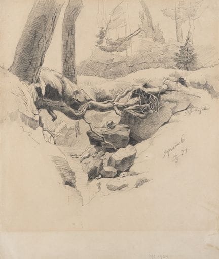 J. ROESSLER (siglo XIX), Raíz en el bosque de Bops
