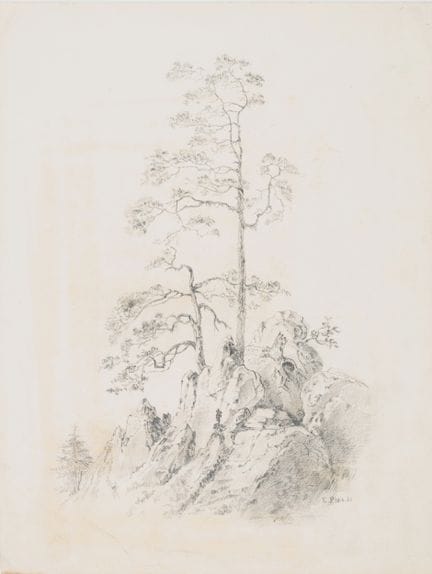 Monogram EP (siglo XIX), Paisaje montañoso con árb