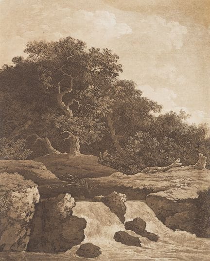 Anonimo (XIX secolo), Un fiume impetuoso ai margin