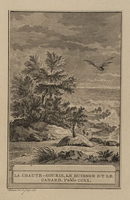 R. VINKELES (1741-1816), Bat, bush and duck,  1778