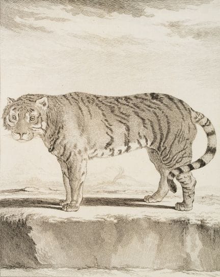 J. BAQUOY (*1721) after SÈVE (*1742), A zoological