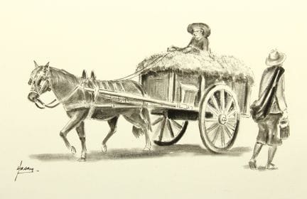Anonimo (XX secolo), Carro trainato da cavalli car