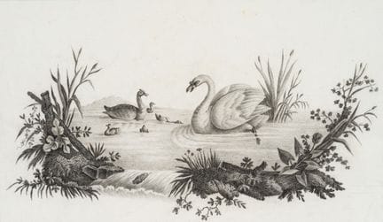 Desconocido (siglo XIX), Representación de animale