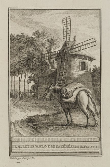 R. VINKELES (1741-1816), A mule in front of a wind