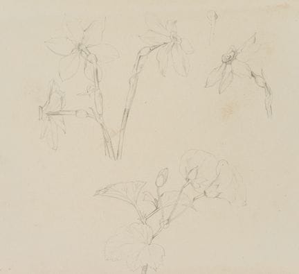 E. RONDAHL (1858-1914), «El narciso del poeta» y e