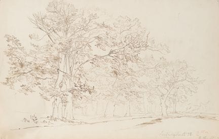 Anonimo (XIX secolo), Nel parco di Ludwigslust,  1